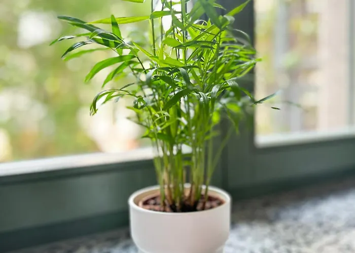 Arenablick 莱比锡